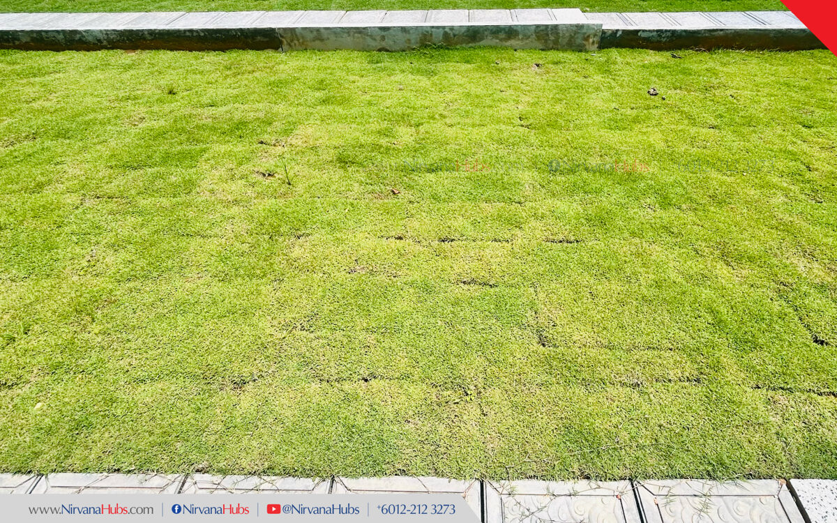 2025_Nirvana_IJOK-Garden5-2.jpg