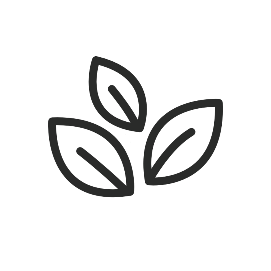 2026_EC_SQ_Nirvana_eco_icon.png