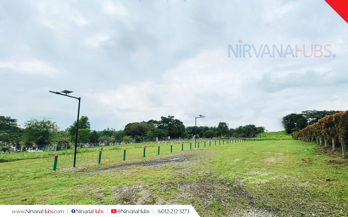 2026_Nirvana_SAMP_HC12-01.jpg