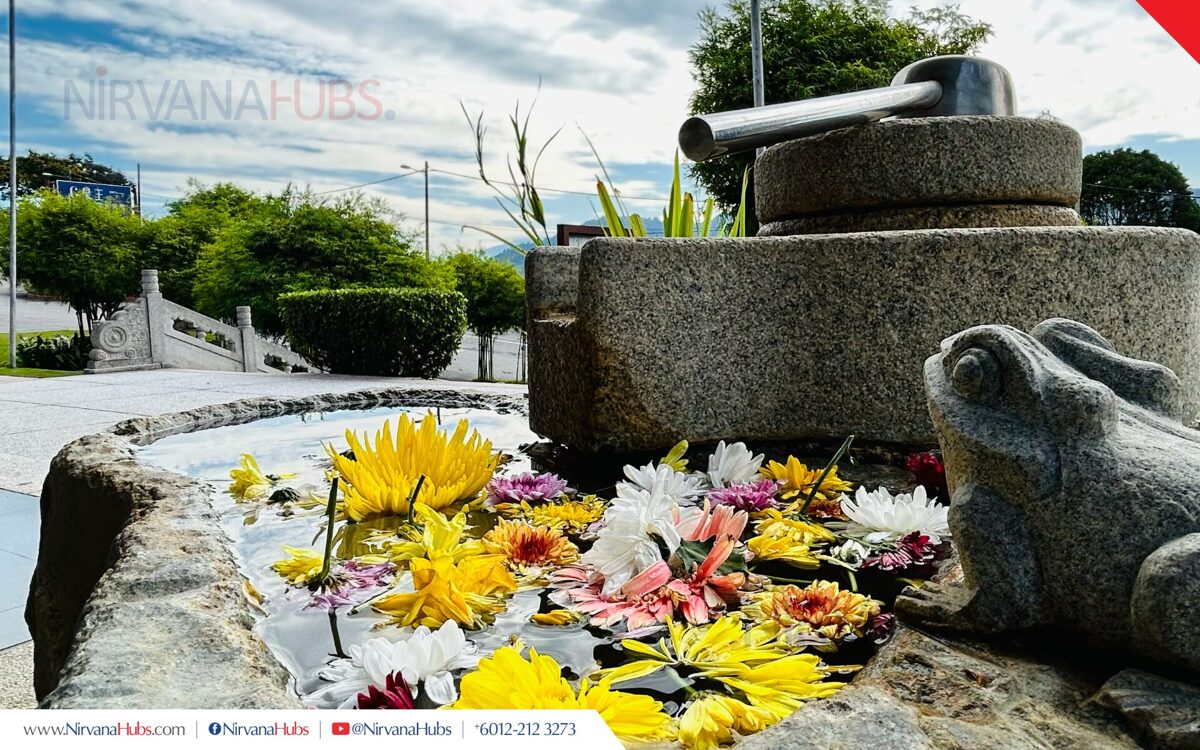 2026_Nirvana_SMY1_TPK1-flower_water.jpg