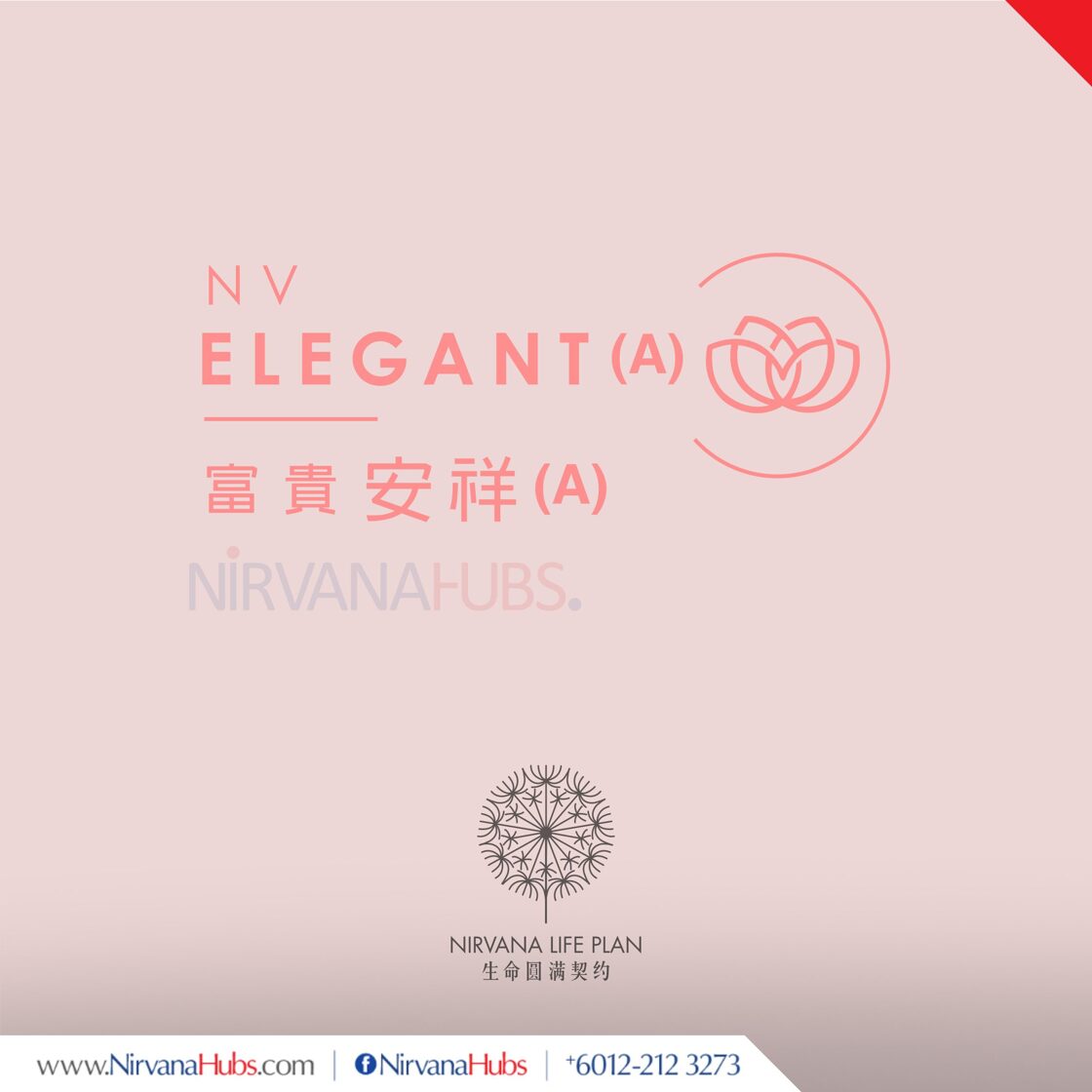 2026_Nirvana_SQ_NLP_elegant.jpg
