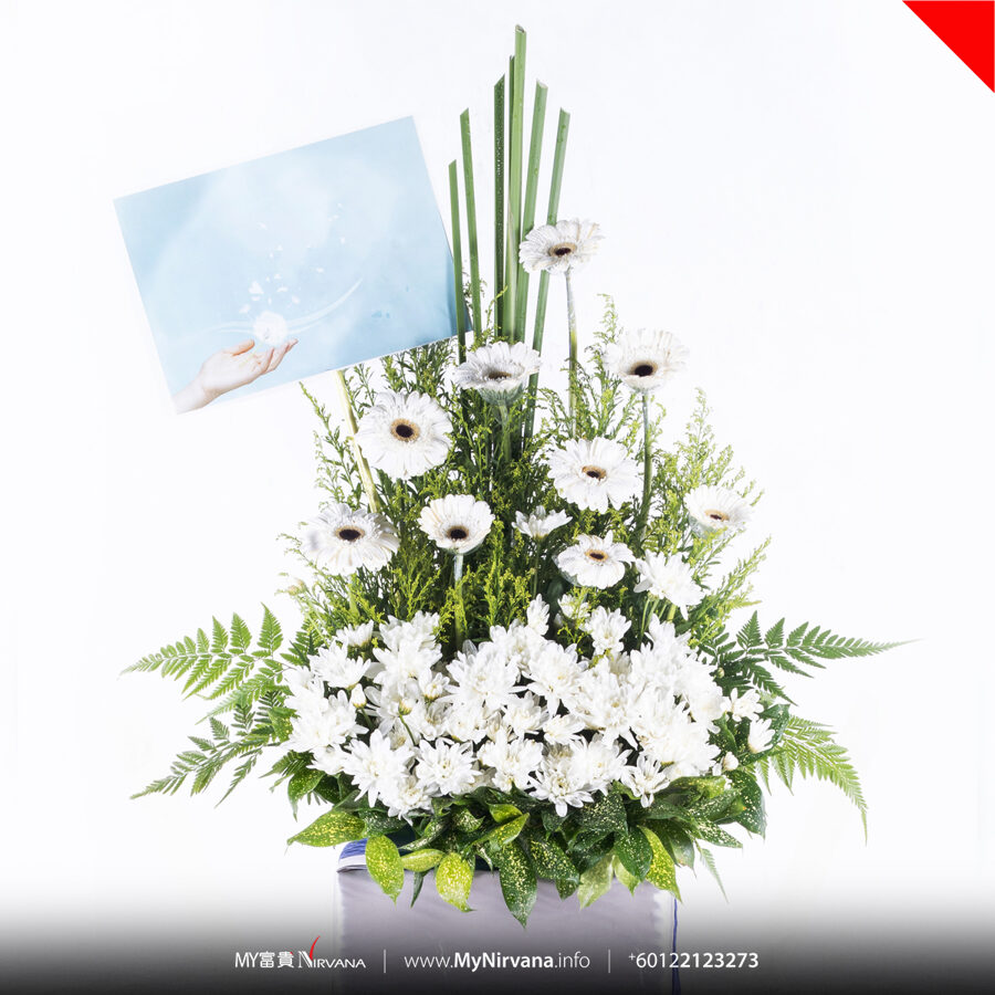White Daisy Condolence Flowers | Sg Florist x Nirvana | MyNirvana.info